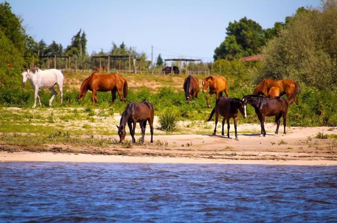 Quinta Marinhais Para Ferias No Ribatejo Dış mekan fotoğraf
