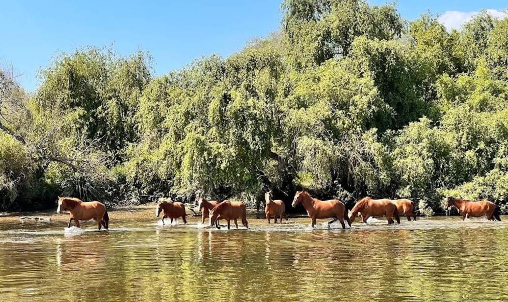Quinta Marinhais Para Ferias No Ribatejo Dış mekan fotoğraf